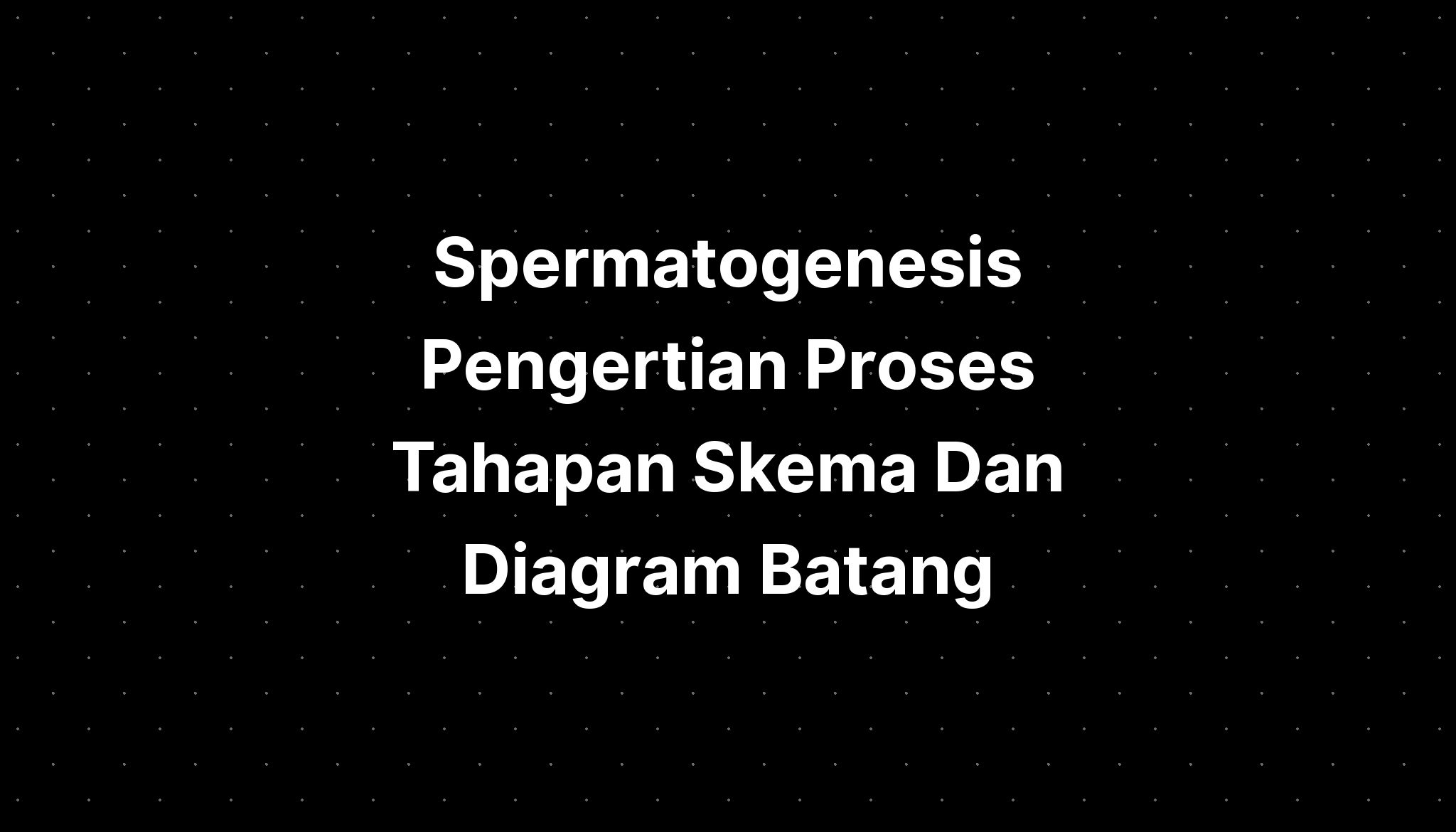 Spermatogenesis Pengertian Proses Tahapan Skema Dan Diagram Batang